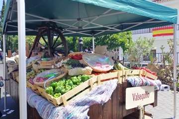 Romería ofrenda a la Virgen del Pino (Foto TA y Antonio Alí)